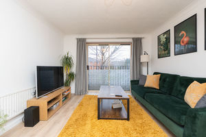 Photo 24- click for photo gallery